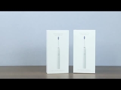 SN302 성인용 소닉 전기칫솔