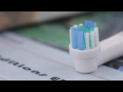 SB-17A 전기 칫솔 머리